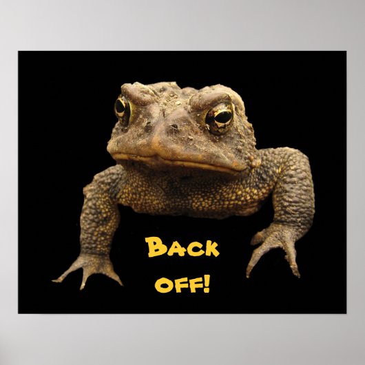 American Toad Poster (Voorkant)
