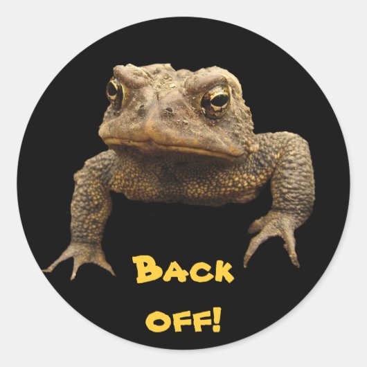American Toad Ronde Sticker (Voorkant)