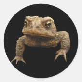 American Toad Ronde Sticker (Voorkant)