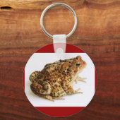 AMERICAN TOAD SLEUTELHANGER (Voorkant)