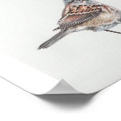 American Tree Sparrow Art Print (Hoek)
