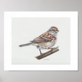 American Tree Sparrow Art Print (Voorkant)