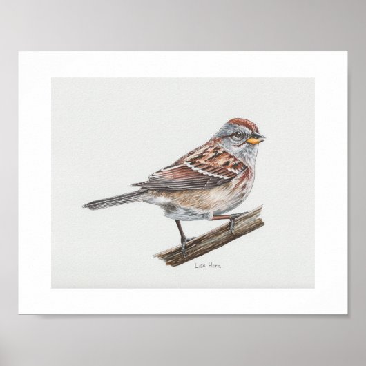 American Tree Sparrow Art Print (Voorkant)