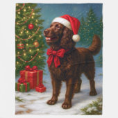 American Water Spaniel Holiday  Fleece Deken (Voorkant)