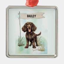American Water Spaniel Watercolor Personalized Dog