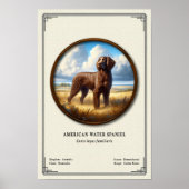 American Water Spaniel Zoölogische Serie Poster (Voorkant)