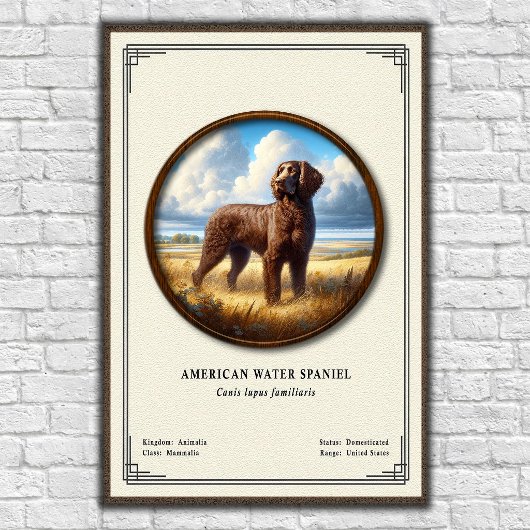 American Water Spaniel Zoölogische Serie Poster