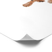 American Welsh Terriers Poster (Hoek)