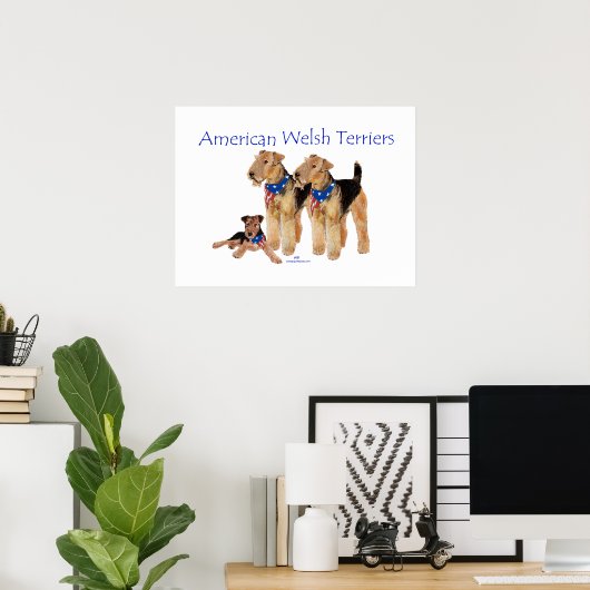 American Welsh Terriers Poster (Thuiskantoor)