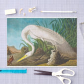 American White Heron door John James Audubon Tissuepapier (Craft)