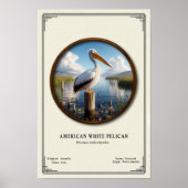 American White Pelican Zoology Series Poster (Voorkant)