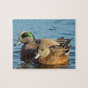 American Widgeon Ducks (Drake en Hen) Legpuzzel