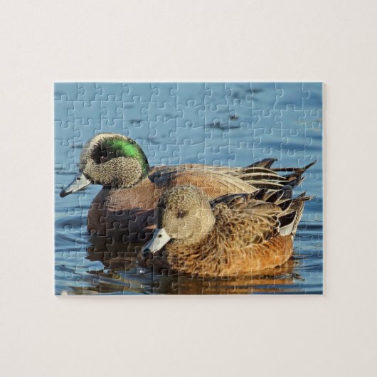 American Widgeon Ducks (Drake en Hen) Legpuzzel (Horizontaal)