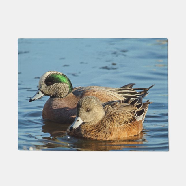 American Widgeon Ducks Pair (Drake en Hen) Deurmat (Voorkant)