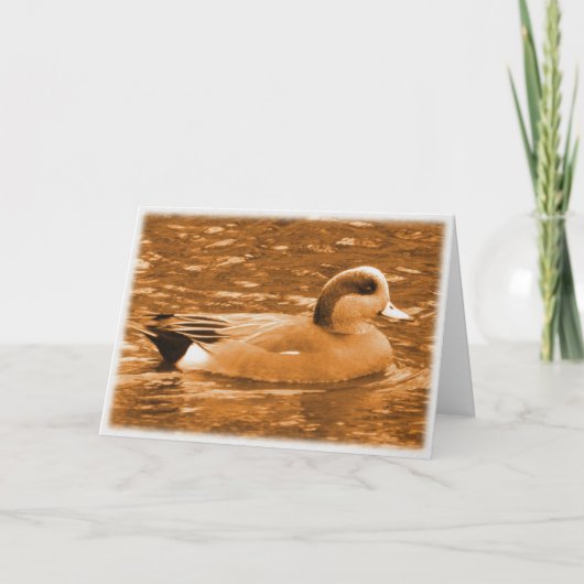 American Wigeon Bedankt voor je hulp (Voorkant)