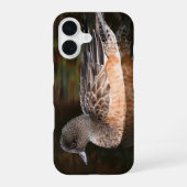 American Wigeon on Pond Wildlife Foto iPhone 16 Hoesje (Achterkant)