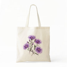 American Wildflower New England Aster Flower Tas