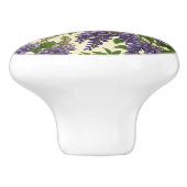 American Wisteria patroon tekening Keramische Knop (Zijkant)