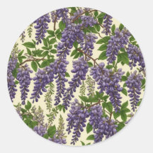 American Wisteria patroon tekening