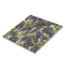 American Wisteria patroon tekening