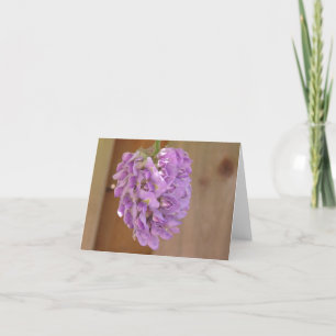 American wisteria (Wisteria frutescens) kaart