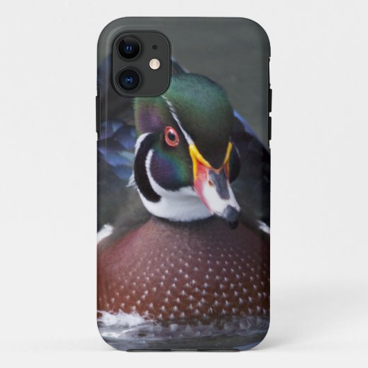 American Wood Duck iPhone 5 Hoesje-Mate Hoesje (Achterkant)