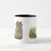 American Woodcock, John Audubon Print Mok (Midden)