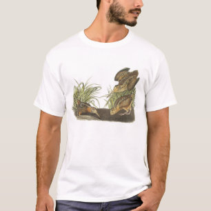 American Woodcock van Audubon T-shirt