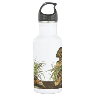 American Woodcock van Audubon Waterfles