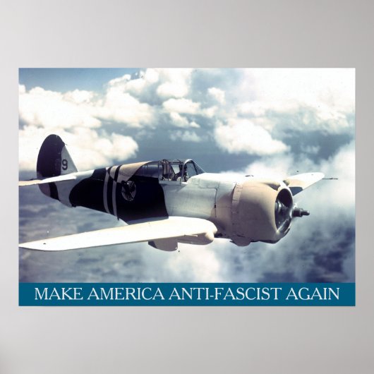 American WWII Plane MAAFA Poster (Voorkant)