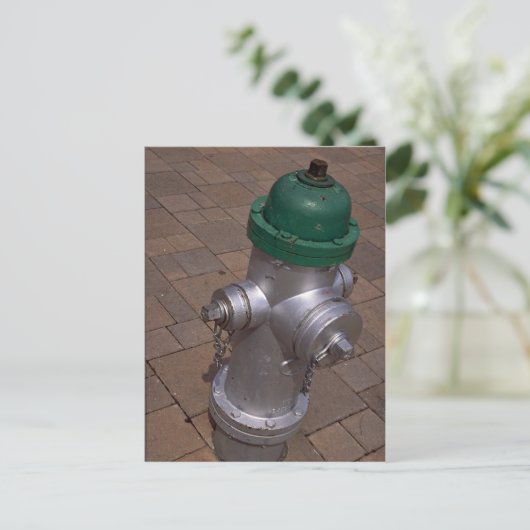 Americana (hydrant), Florida, U.S.A. Briefkaart (Staand voorkant)