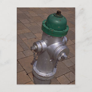 Americana (hydrant), Florida, U.S.A. Briefkaart