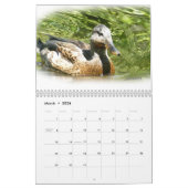 Americana Kalender Tarwe Multomap (Mar 2026)