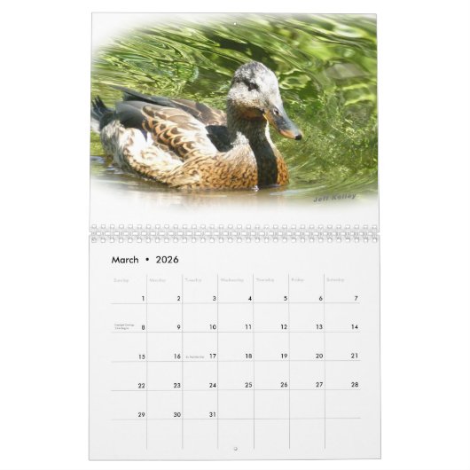 Americana Kalender Tarwe Multomap (Mar 2026)