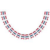 Americana Patriotic Stars & Stripes Celebration  Vlaggetjes (Alle)