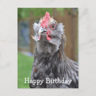 Americana Rooster Happy Birthday Briefkaart