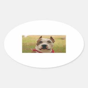 AmericanStafforshireTerrier 2.png Ovale Sticker