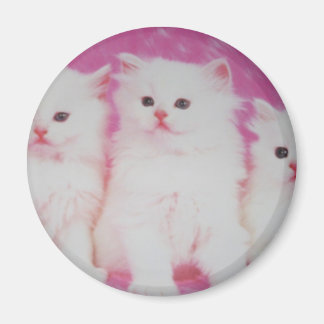 America's Next Top Modellen Magneet