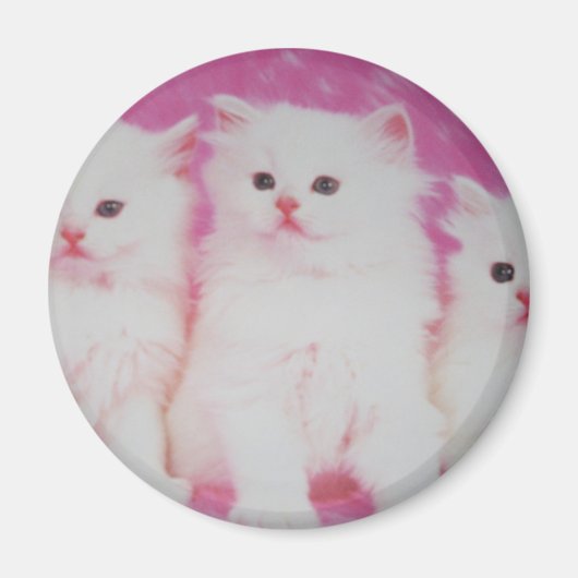 America's Next Top Modellen Magneet (Voorkant)