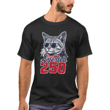 Amerika 250 Coole Kat Patriottische 4e Juli Kat