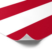 Amerika 250 Jaar Vlag Poster (Hoek)