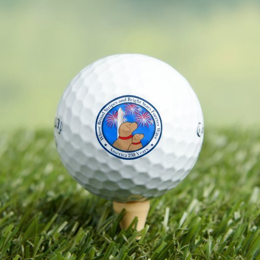 Amerika 250 Special Edition DC Golfballen (Insitu Shirt)