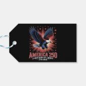 Amerika 250e verjaardag cadeaulabel (Achterkant Horizontaal)