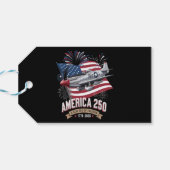 Amerika 250e verjaardagsvliegtuig cadeaulabel (Achterkant Horizontaal)