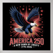 Amerika 250ste verjaardag poster (Voorkant)