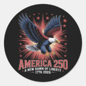 Amerika 250ste verjaardag ronde sticker (Voorkant)