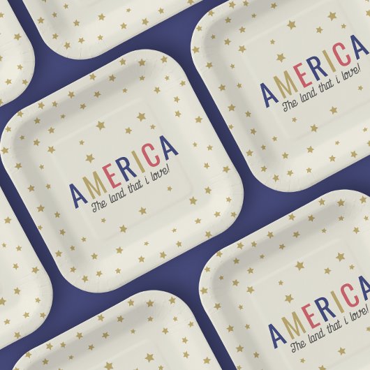 Amerika 4 juli decoraties papieren bordje