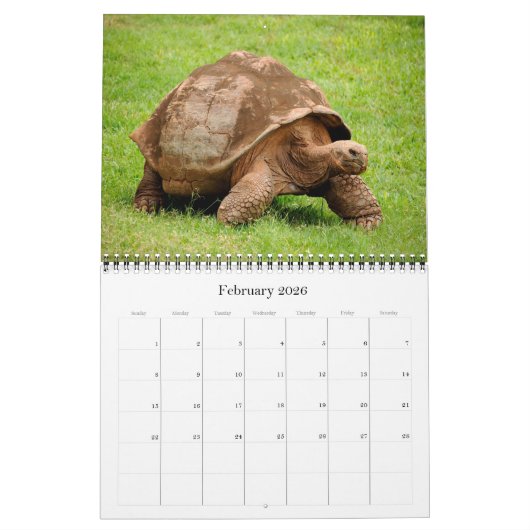 Amerika - Ecuador - Galapagos - Kalender (Feb 2026)