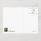 Amerika en KNELVlaggen Briefkaart (Achterkant)