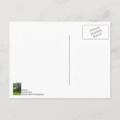 Amerika en KNELVlaggen Briefkaart (Achterkant)